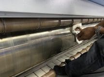 งานติดตั้งสายพานรีดผ้า NICHOLINE สำหรับเครื่องรีดผ้า ELECTROLUX - 4