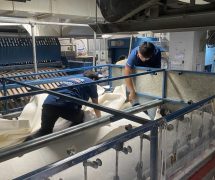 งานติดตั้ง ผ้าสักหลาดหุ้มลูกกลิ้ง NICHOLINE สำหรับเครื่องรีดผ้าแบบกระทะ - 25