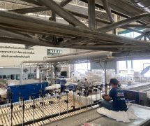 งานติดตั้งผ้าสักหลาดหุ้มลูกกลิ้ง NICHOLINE สำหรับเครื่องรีดผ้าแบบกระทะ IMAGE - 36