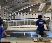 งานติดตั้ง ผ้าสักหลาดหุ้มลูกกลิ้ง VERTEX สำหรับเครื่องรีดผ้าแบบกระทะ IMAGE - 47