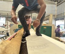 66052001 - ผ้าสักหลาดหุ้มลูกกลิ้ง NICHOLINE เครื่องรีดผ้าแบบกระทะ - 6