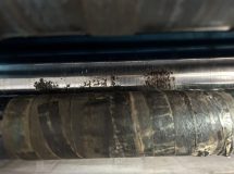 66061501 - สายพานป้อนผ้า สายพานรีดผ้า NICHOLINE เครื่องรีดผ้า IMAGE - 7