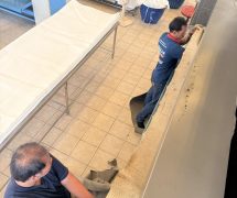 69040801 - งานติดตั้ง ผ้าสักหลาดหุ้มลูกกลิ้ง NICHOLINE เครื่องรีดผ้าแบบกระทะ IMAGE - 3