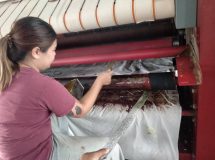 69100701 - สายพานรีดผ้า NICHOLINE เทปพันลูกกลิ้ง เครื่องรีดผ้าแบบสายพาน TOLKAR - 17